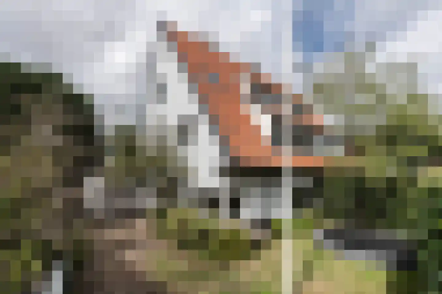 Teunisbloemlaan 4 Bentveld thumbnail 48