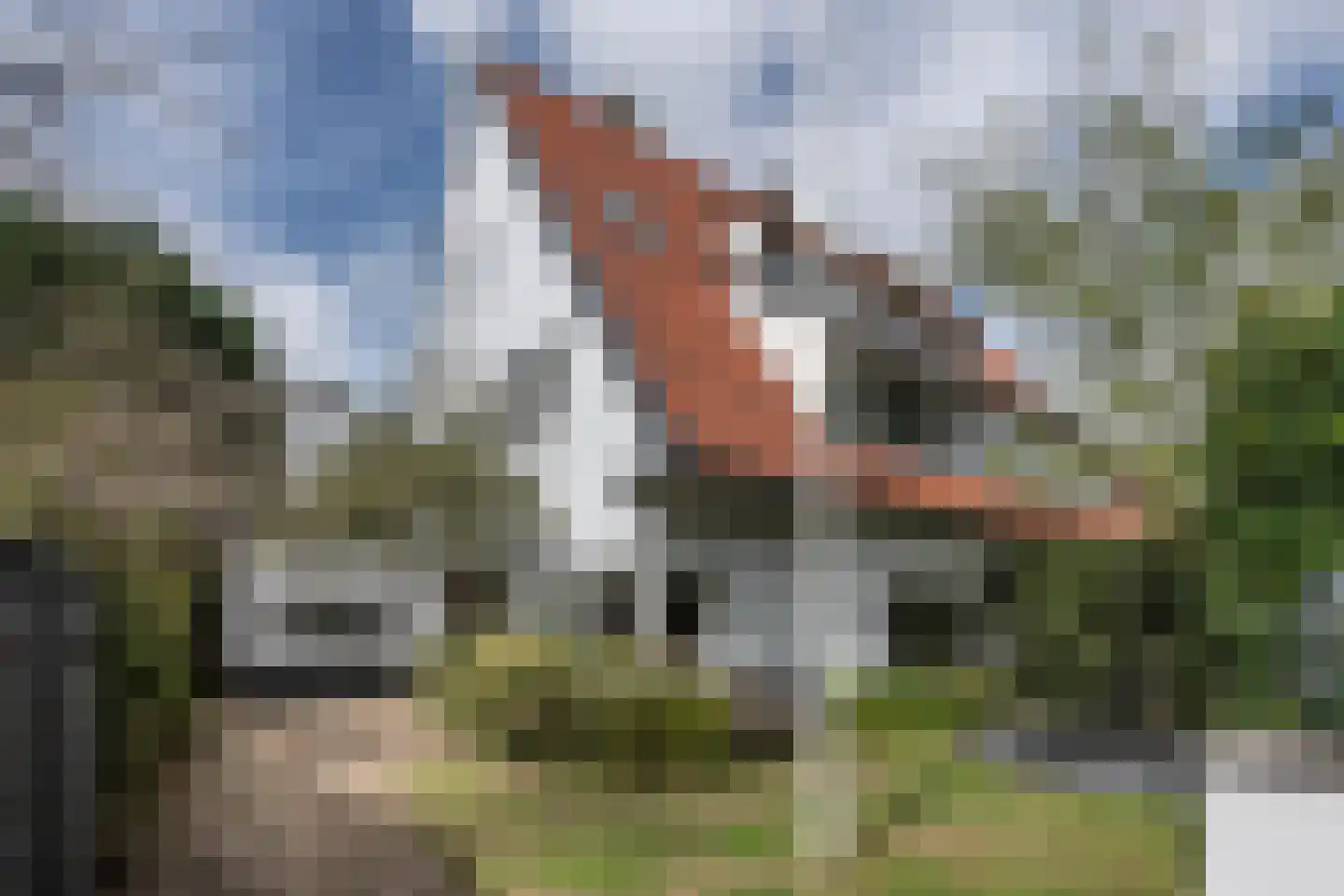 Teunisbloemlaan 4 Bentveld thumbnail 6