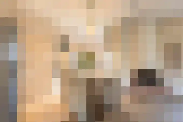 Teunisbloemlaan 6 Bentveld thumbnail 15