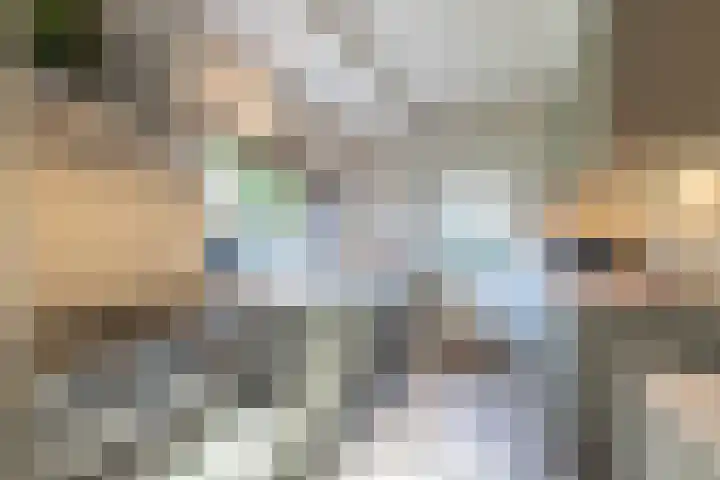Teunisbloemlaan 6 Bentveld thumbnail 16