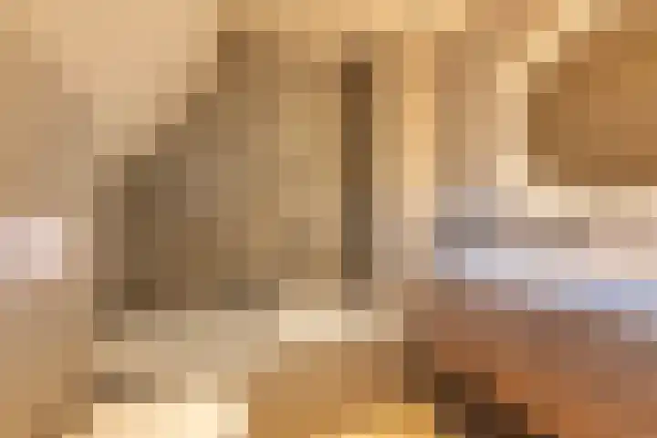 Teunisbloemlaan 6 Bentveld thumbnail 22