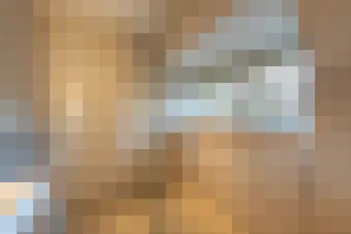 Teunisbloemlaan 6 Bentveld thumbnail 23