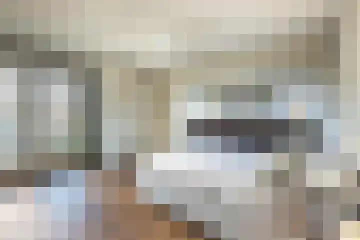Teunisbloemlaan 6 Bentveld thumbnail 24