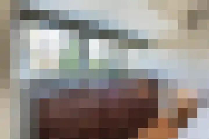 Teunisbloemlaan 6 Bentveld thumbnail 25