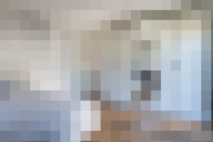 Teunisbloemlaan 6 Bentveld thumbnail 26