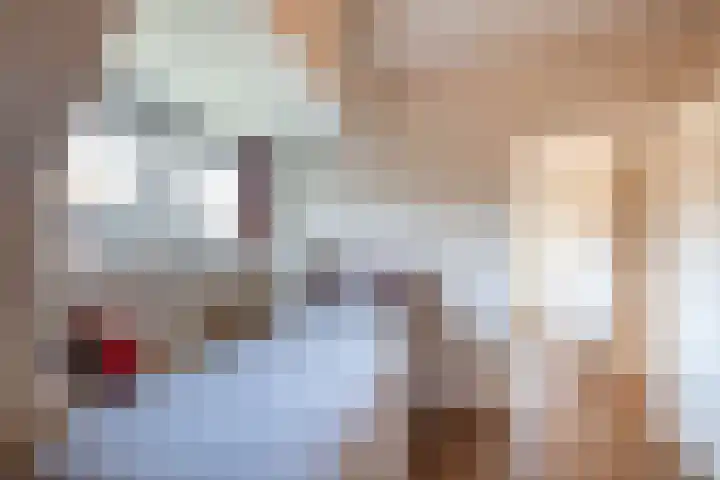 Teunisbloemlaan 6 Bentveld thumbnail 32