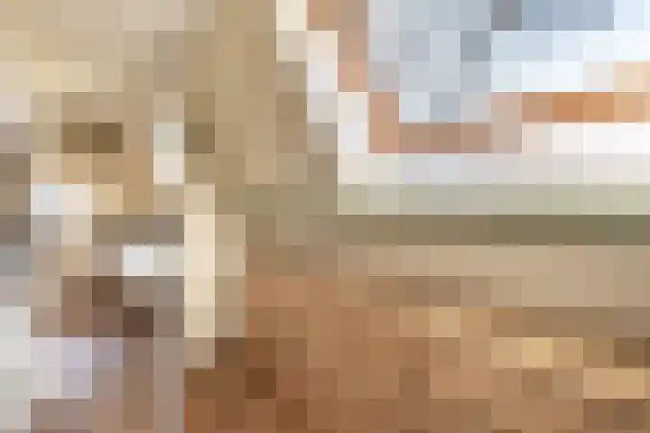 Teunisbloemlaan 6 Bentveld thumbnail 36