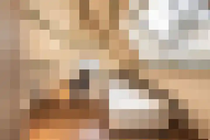 Teunisbloemlaan 6 Bentveld thumbnail 37