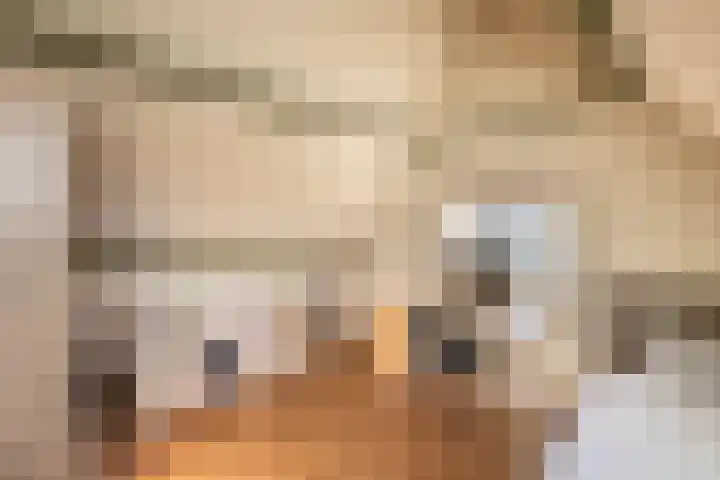 Teunisbloemlaan 6 Bentveld thumbnail 38