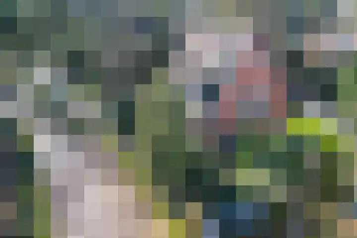 Teunisbloemlaan 6 Bentveld thumbnail 41