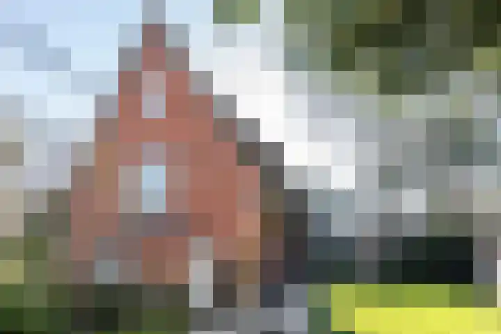 Teunisbloemlaan 6 Bentveld thumbnail 42