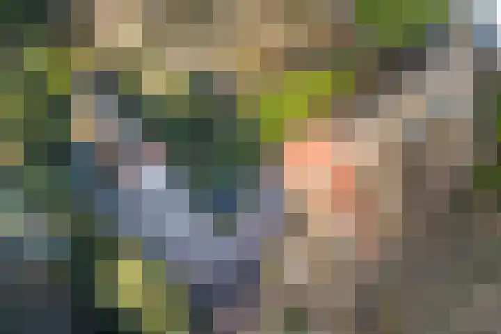 Teunisbloemlaan 6 Bentveld thumbnail 46