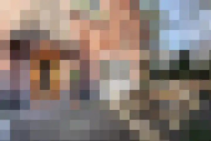 Teunisbloemlaan 6 Bentveld thumbnail 6