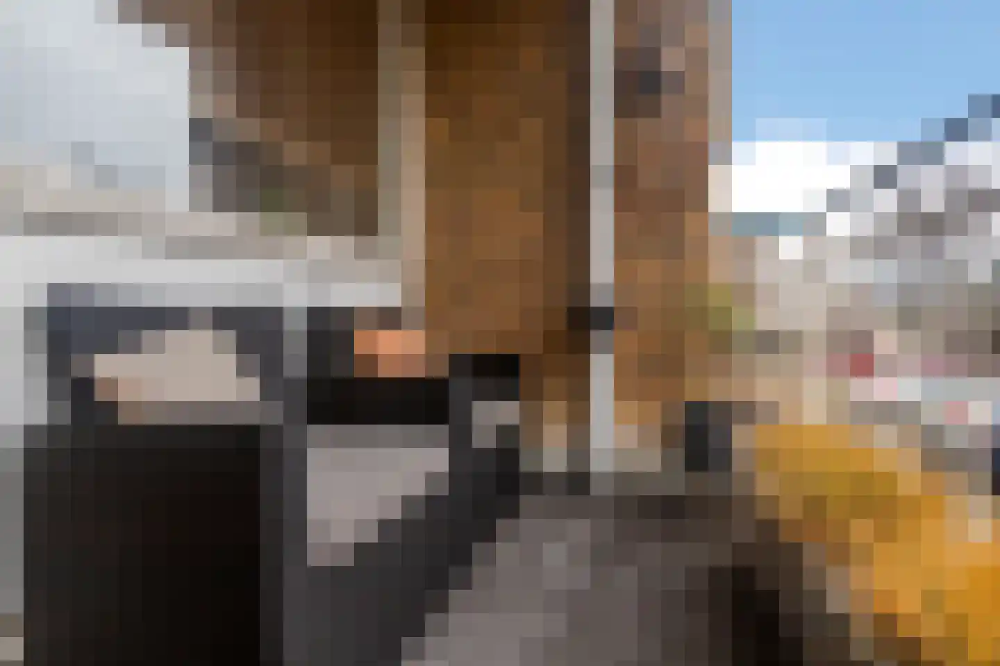 Teunisbloemplein 22 Den Haag thumbnail 29