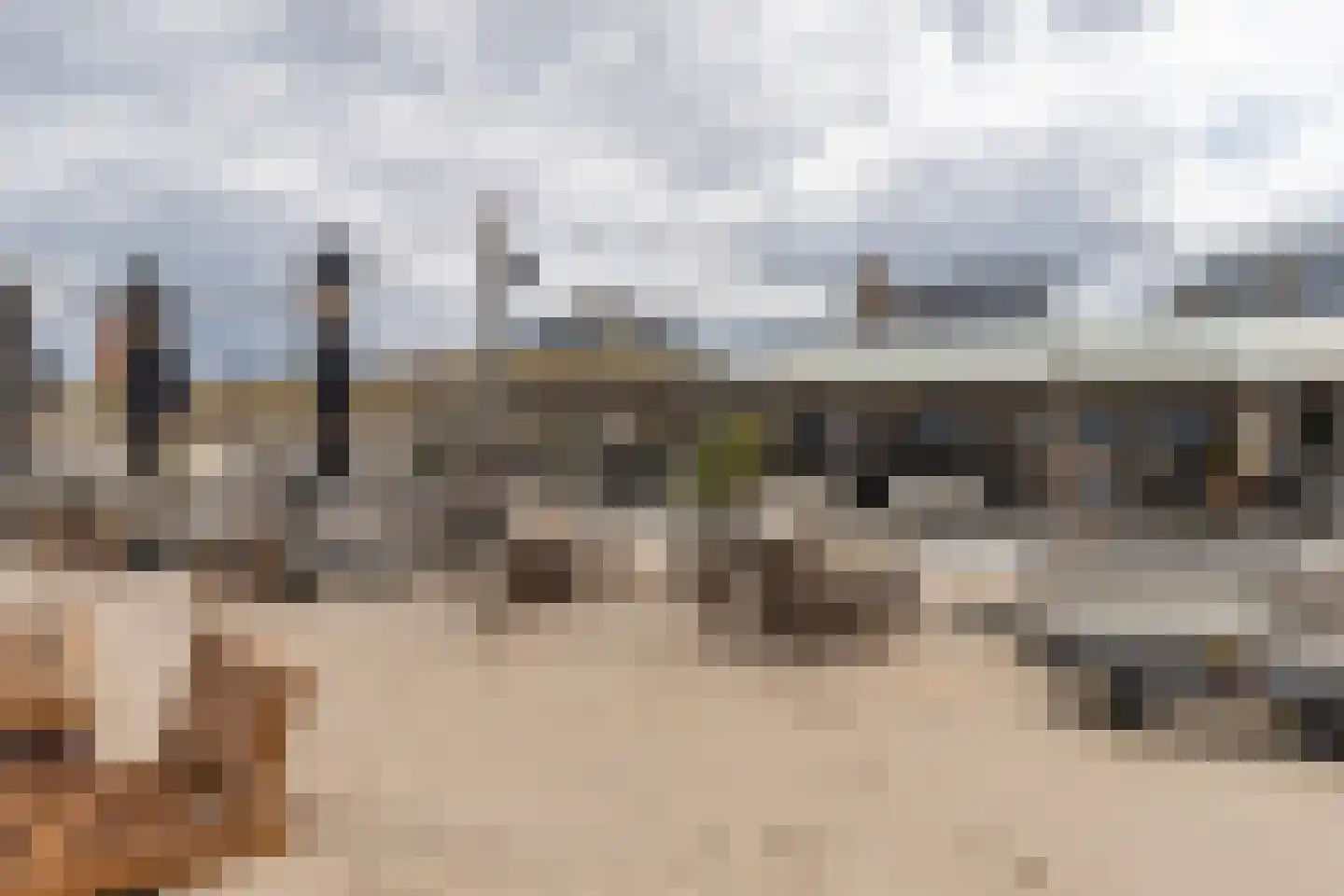 Teunisbloemplein 22 Den Haag thumbnail 39