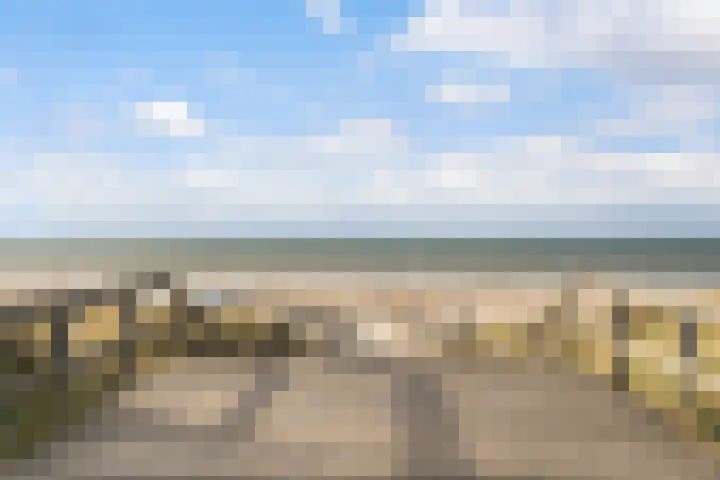 Teunisbloemplein 71 Den Haag thumbnail 33