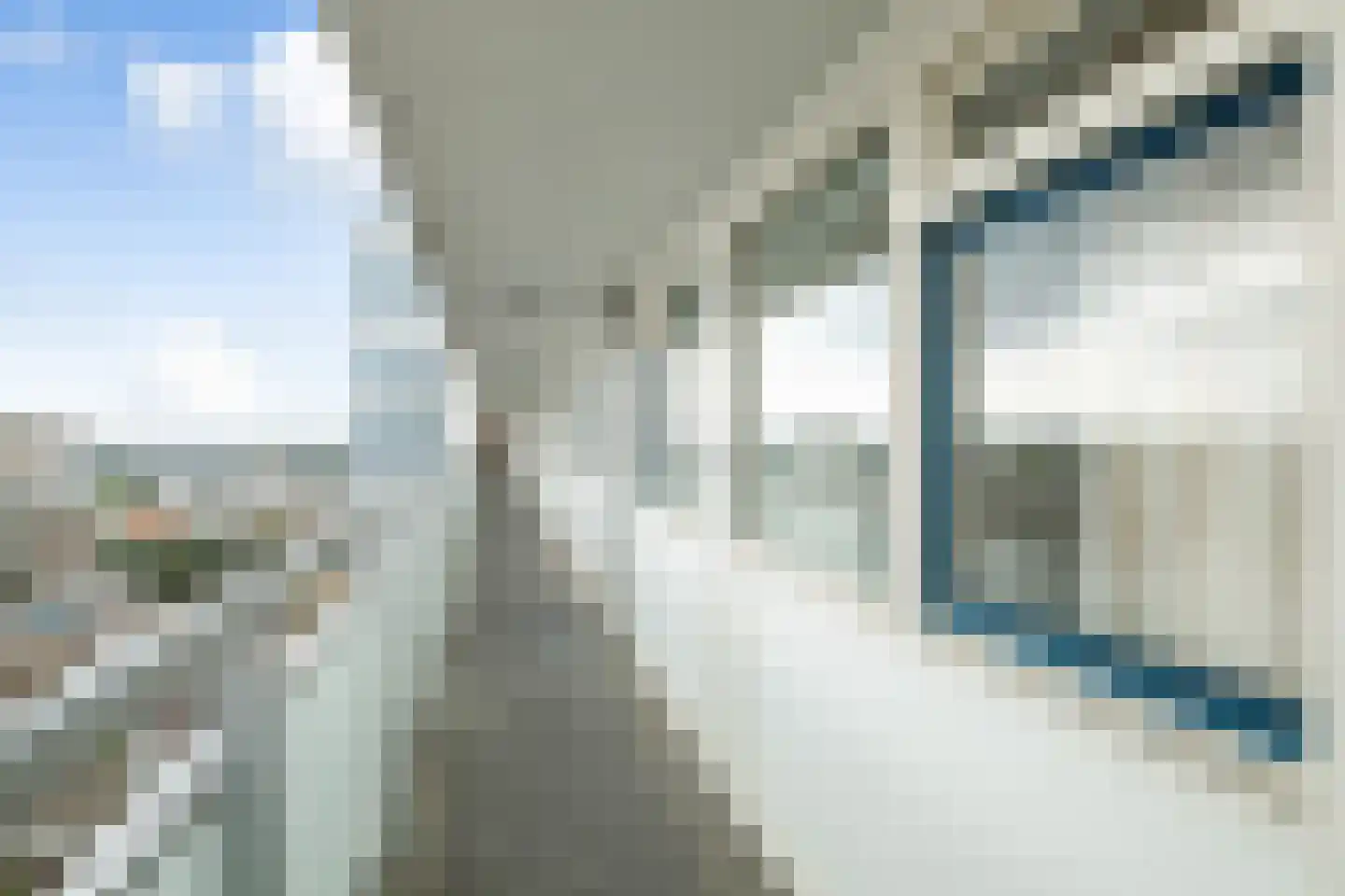 Teunisbloemplein 84 Den Haag thumbnail 11