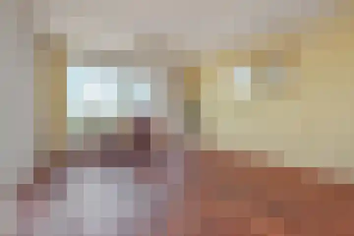 Teunisbloemplein 84 Den Haag thumbnail 15