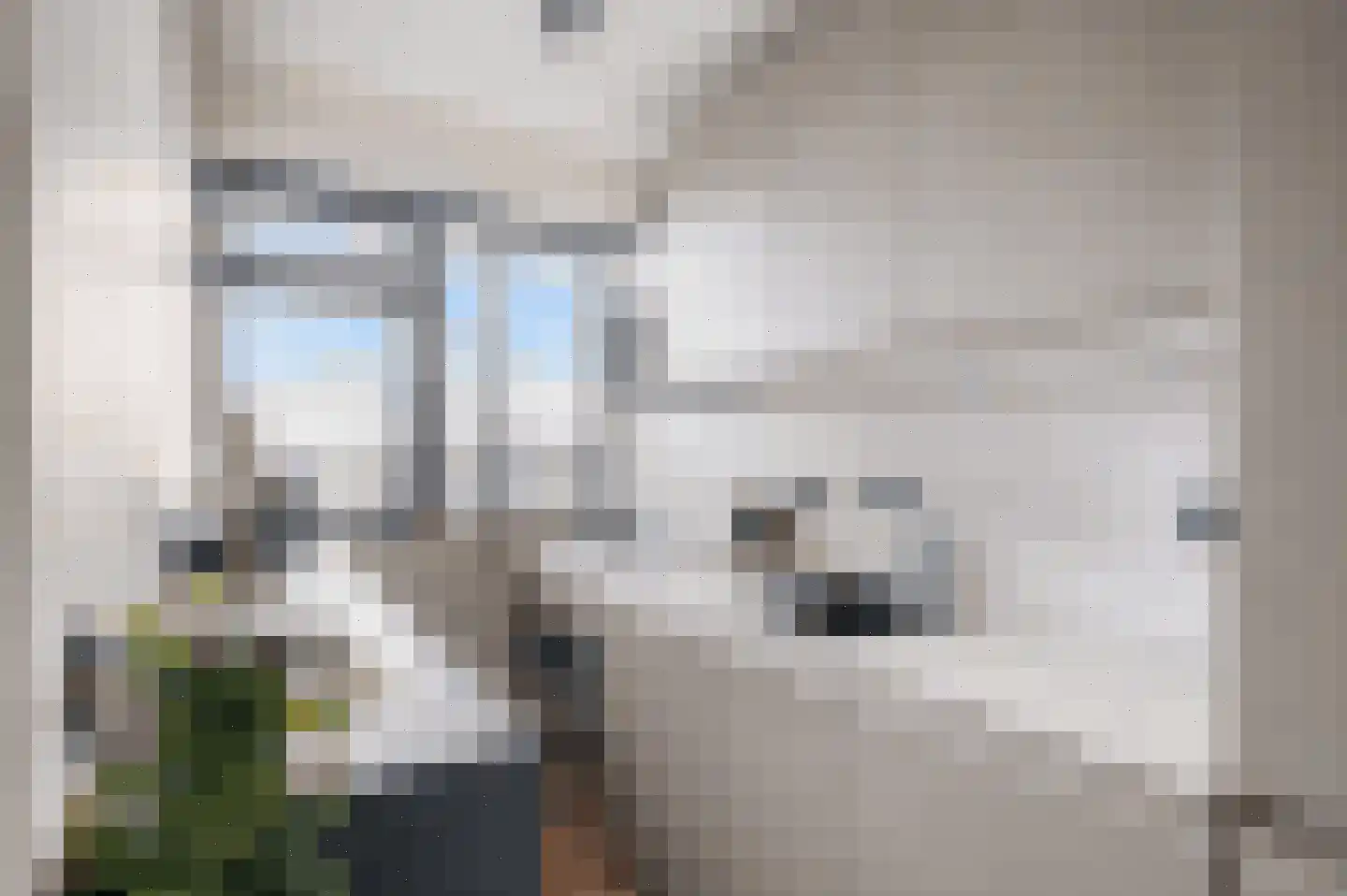 Teunisbloemplein 84 Den Haag thumbnail 27