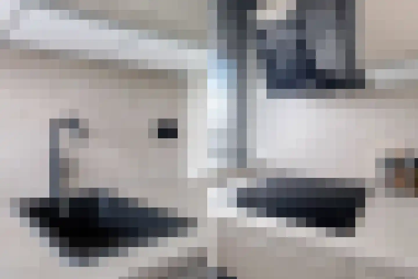 Teunisbloemplein 84 Den Haag thumbnail 32