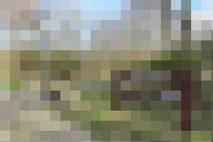 Teunisbloemplein 84 Den Haag thumbnail 40