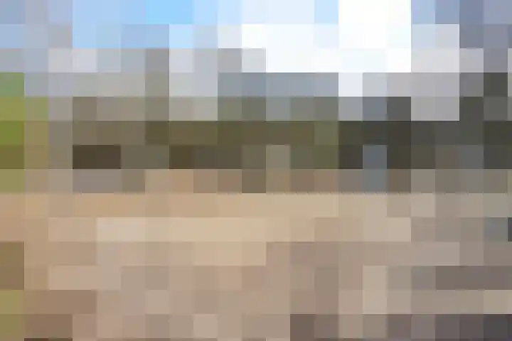 Teunisbloemplein 84 Den Haag thumbnail 41