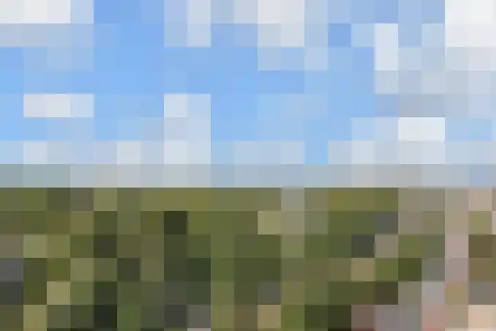 Teunisbloemplein 84 Den Haag thumbnail 5