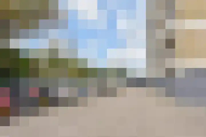 Teunisbloemplein 84 Den Haag thumbnail 8
