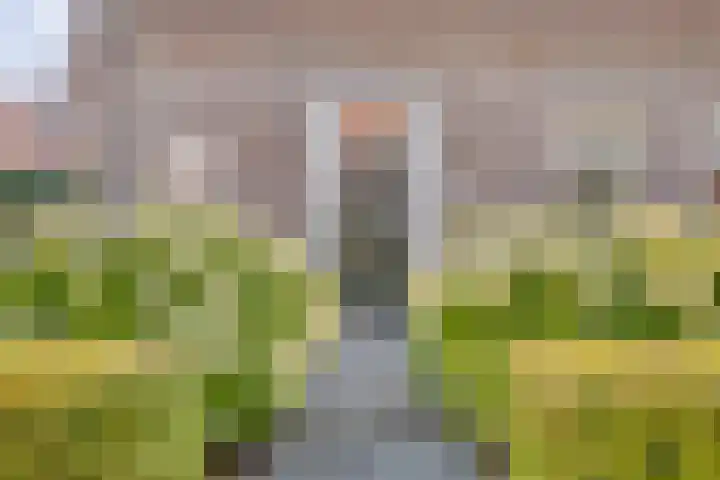 Teunishoeve 4 Helmond thumbnail 11