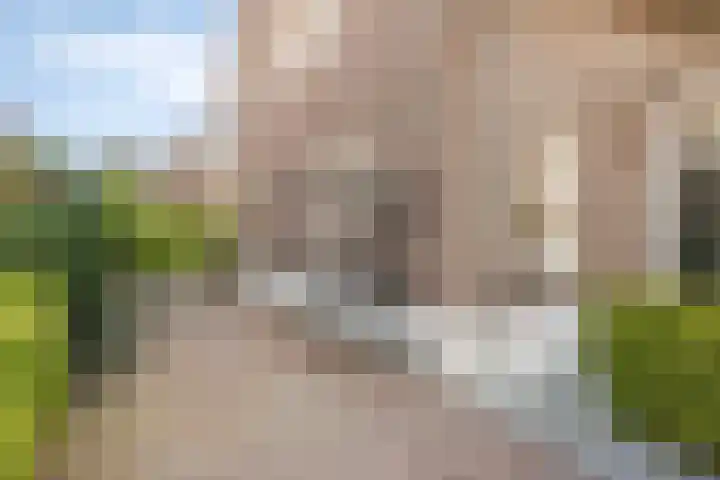 Teunishoeve 4 Helmond thumbnail 12