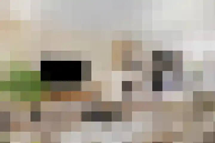Teunishoeve 4 Helmond thumbnail 22
