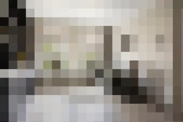 Teunishoeve 4 Helmond thumbnail 24