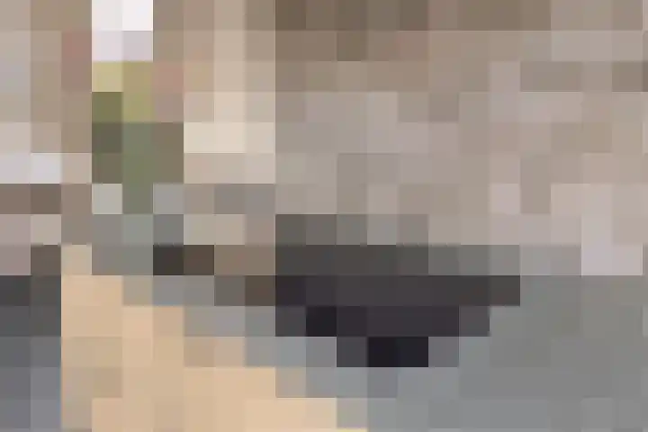 Teunishoeve 4 Helmond thumbnail 32