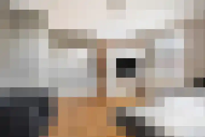 Teunishoeve 4 Helmond thumbnail 37