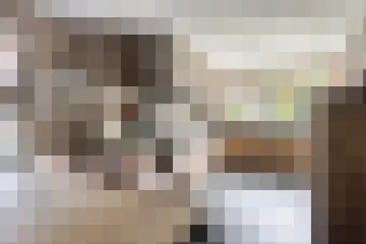 Teunishoeve 4 Helmond thumbnail 4