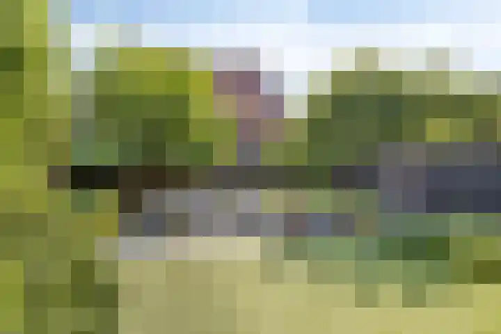 Teunishoeve 4 Helmond thumbnail 50