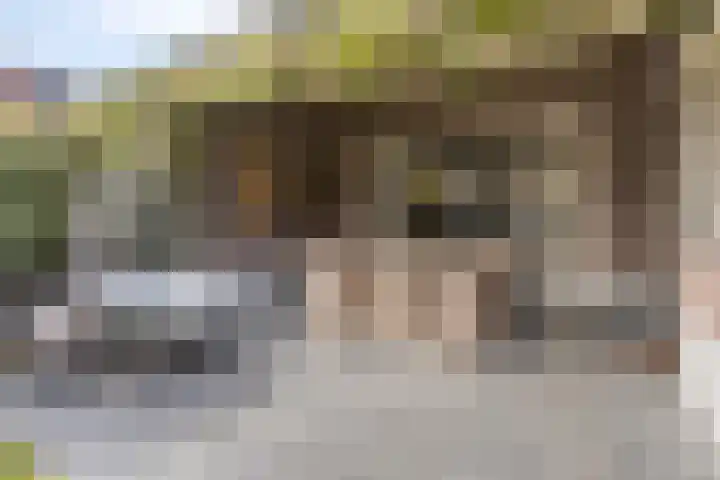 Teunishoeve 4 Helmond thumbnail 51