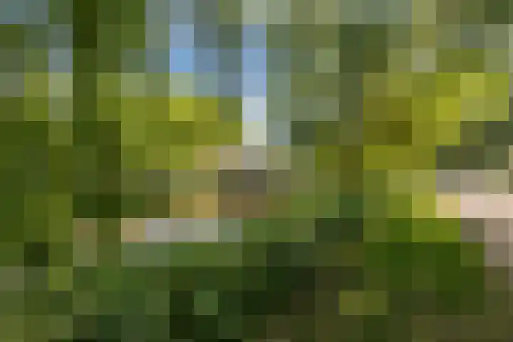 Teut 51 Amersfoort thumbnail 23