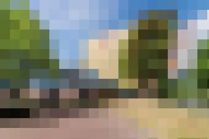 Teut 51 Amersfoort thumbnail 24