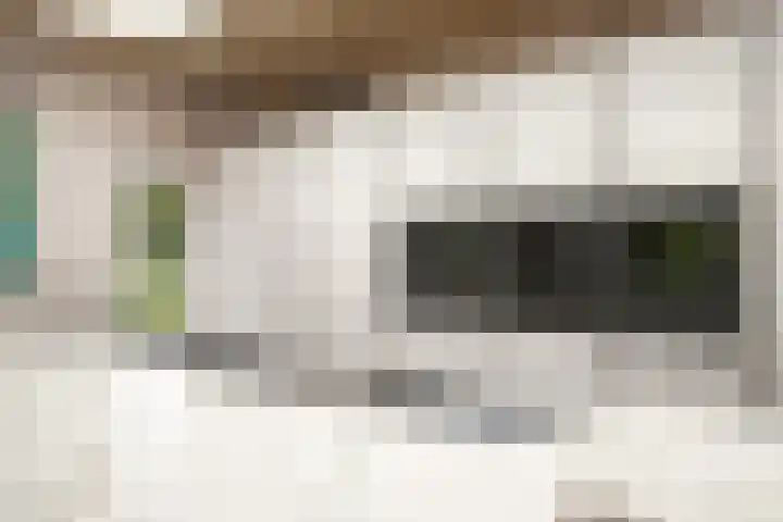 Teutelebroekstraat 10 Kerkrade thumbnail 10
