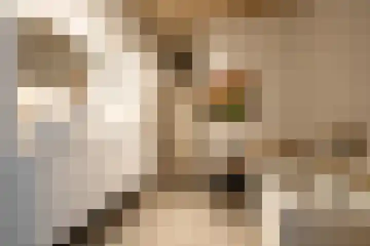 Teutelebroekstraat 10 Kerkrade thumbnail 19