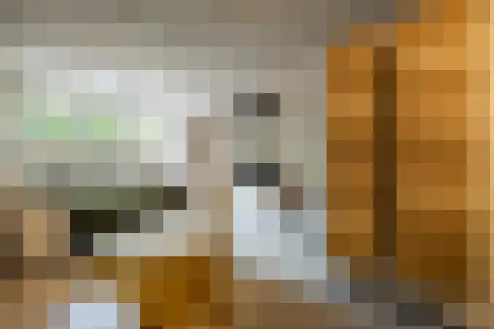 Teutelebroekstraat 10 Kerkrade thumbnail 22