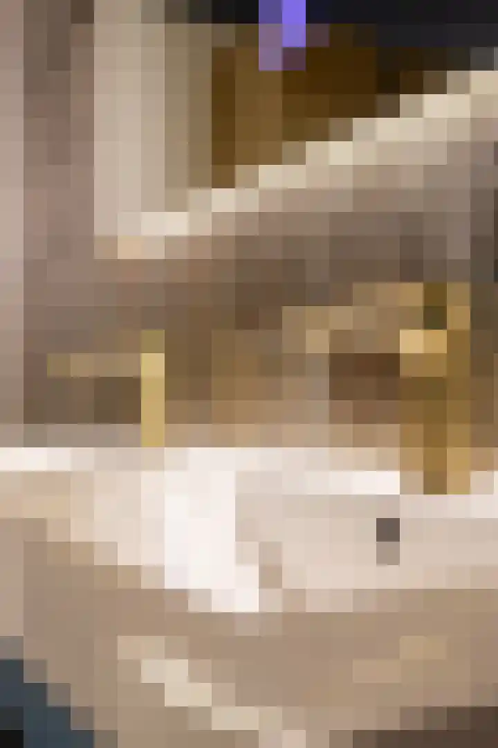 Teutelebroekstraat 10 Kerkrade thumbnail 24