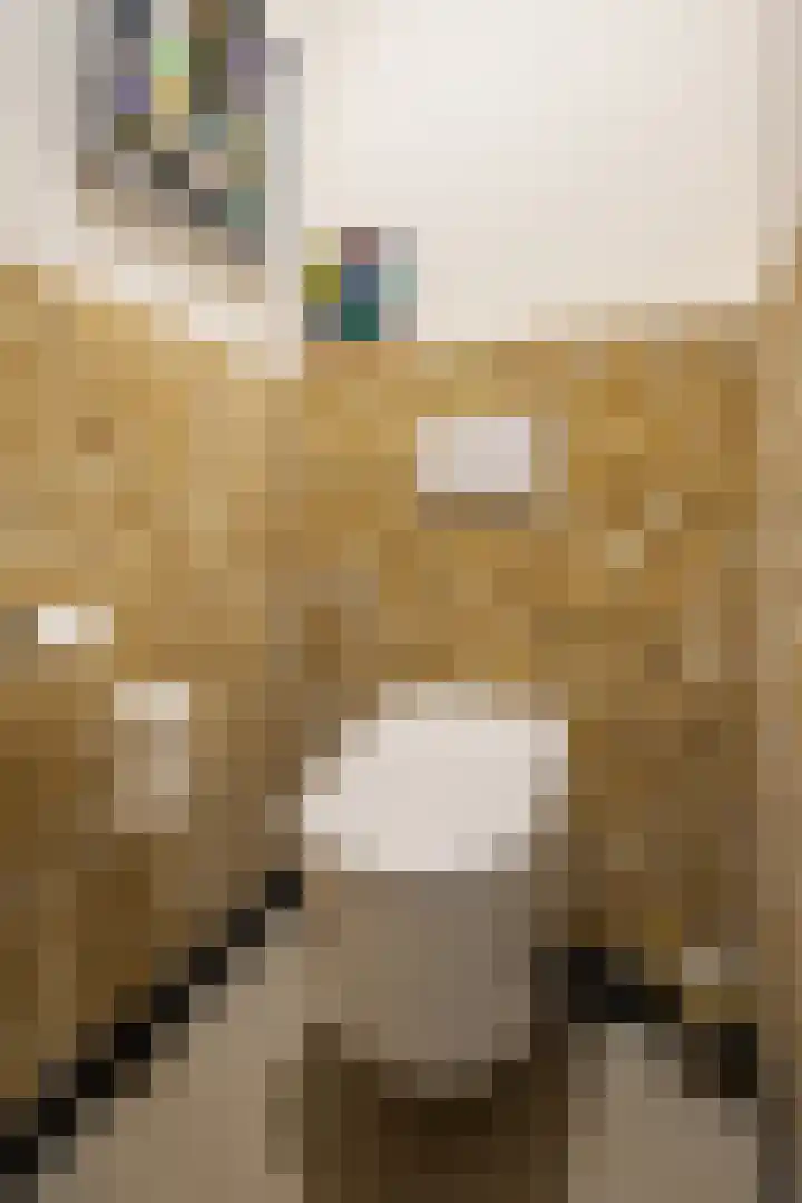 Teutelebroekstraat 10 Kerkrade thumbnail 28