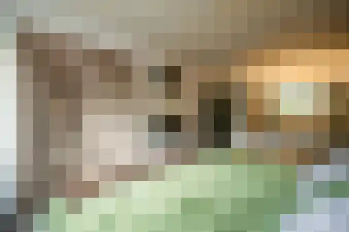 Teutelebroekstraat 10 Kerkrade thumbnail 30