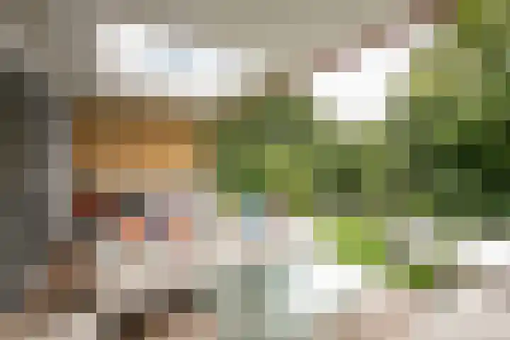 Teutelebroekstraat 10 Kerkrade thumbnail 35