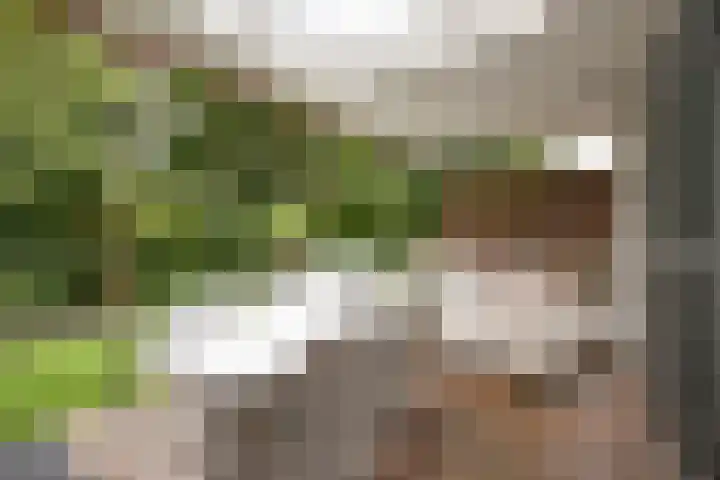 Teutelebroekstraat 10 Kerkrade thumbnail 36