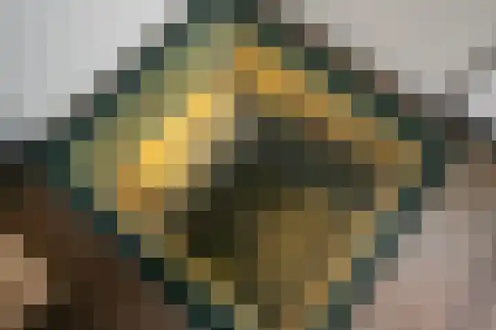 Teutelebroekstraat 10 Kerkrade thumbnail 4
