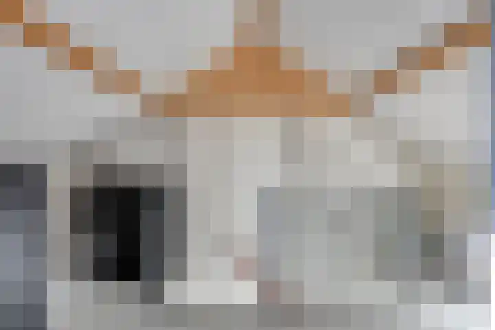 Teutenstraat 16 Budel thumbnail 21
