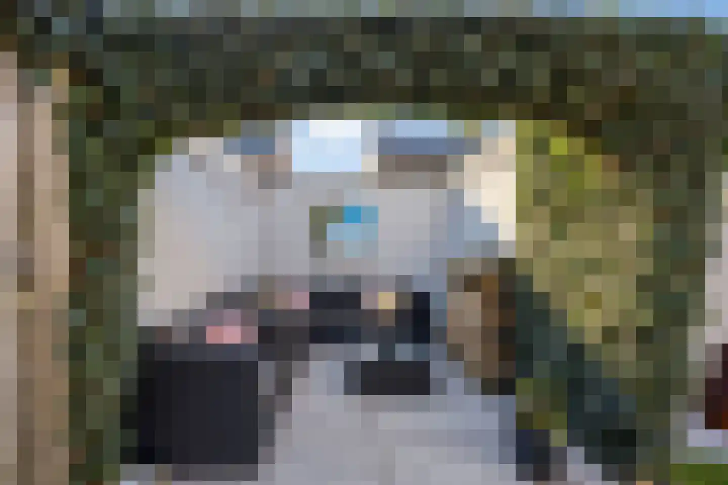Teutenstraat 16 Budel thumbnail 27